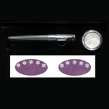 coachella '26 x astrobabe